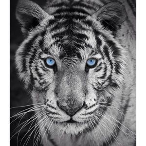 Meet your Posher, Jim