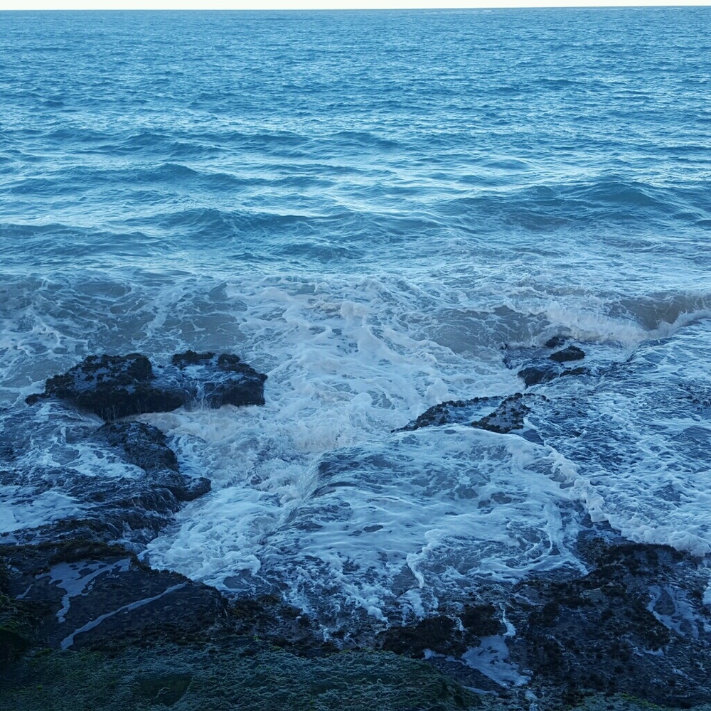 Meet your Posher, Roxanne