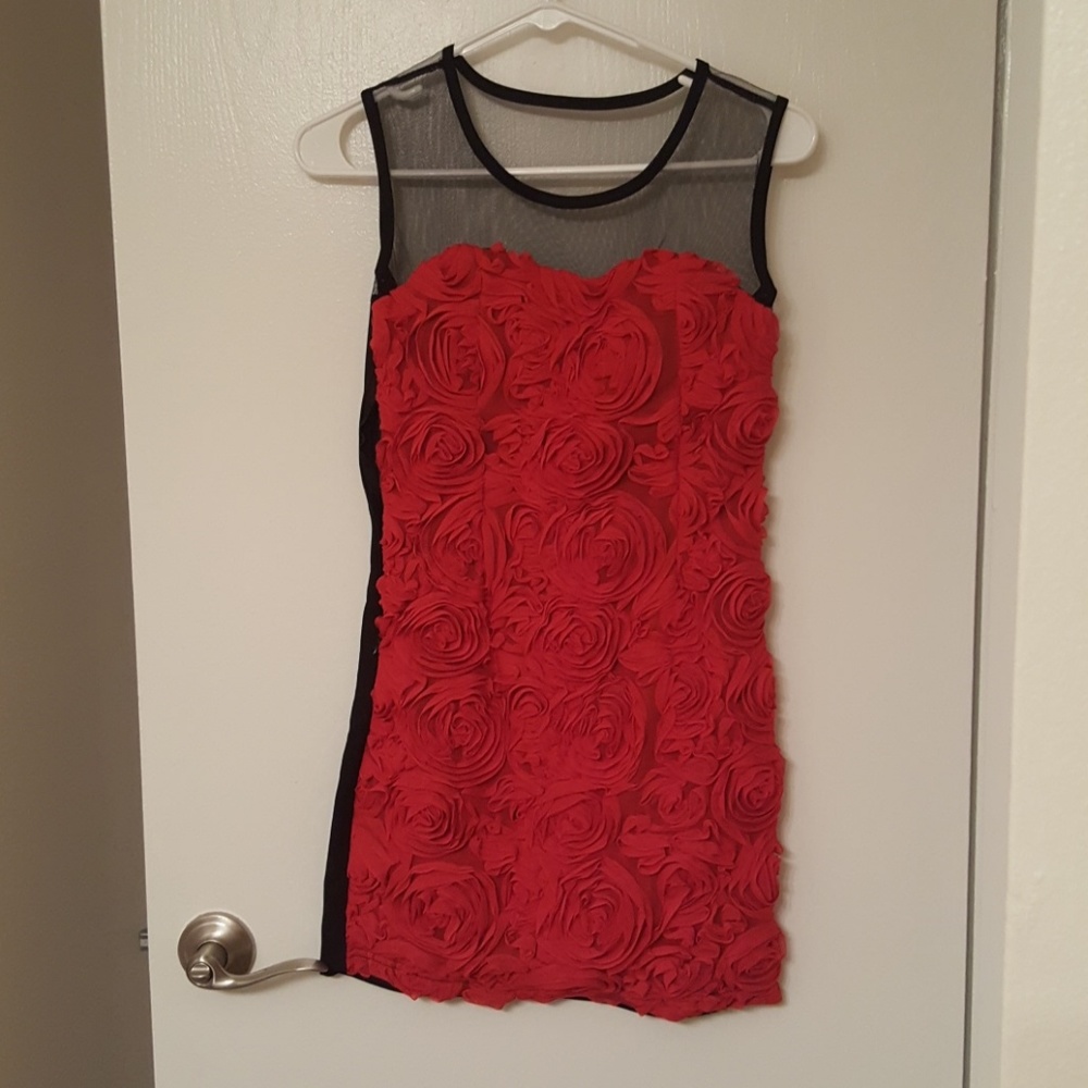 Lovely rose dress xs