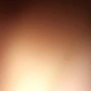 Meet your Posher, Gustavo