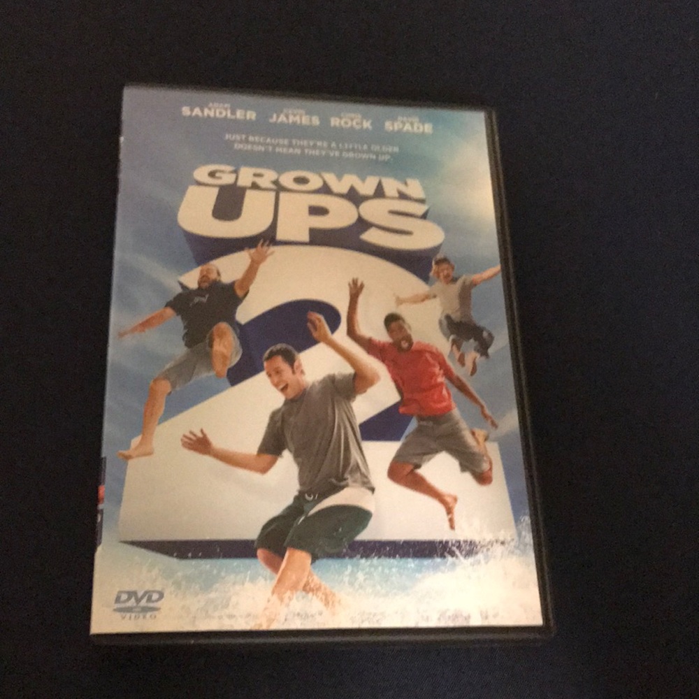 Grown Ups 2 DVD