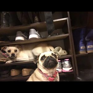 Meet your Posher, Madeline