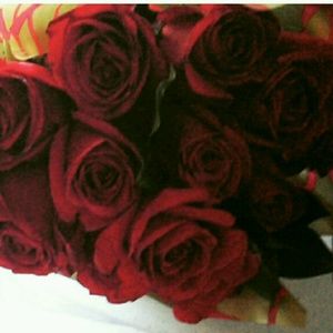 Meet your Posher, Zemog