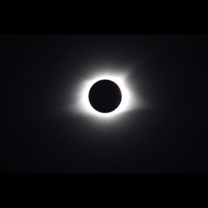 Meet your Posher, Sydney