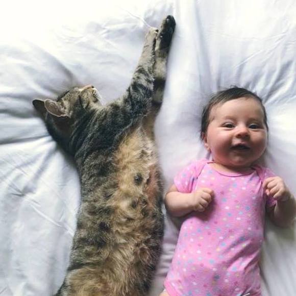 Meet your Posher, Daniel - Picture 1 of 1