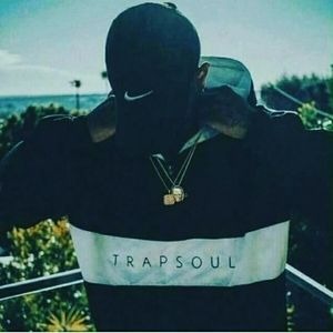 Meet your Posher, Maurice