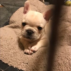 Meet your Posher, Tonya