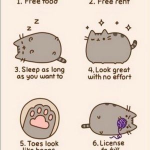 Meet your Posher, Jack