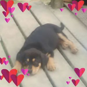 Meet your Posher, Kris