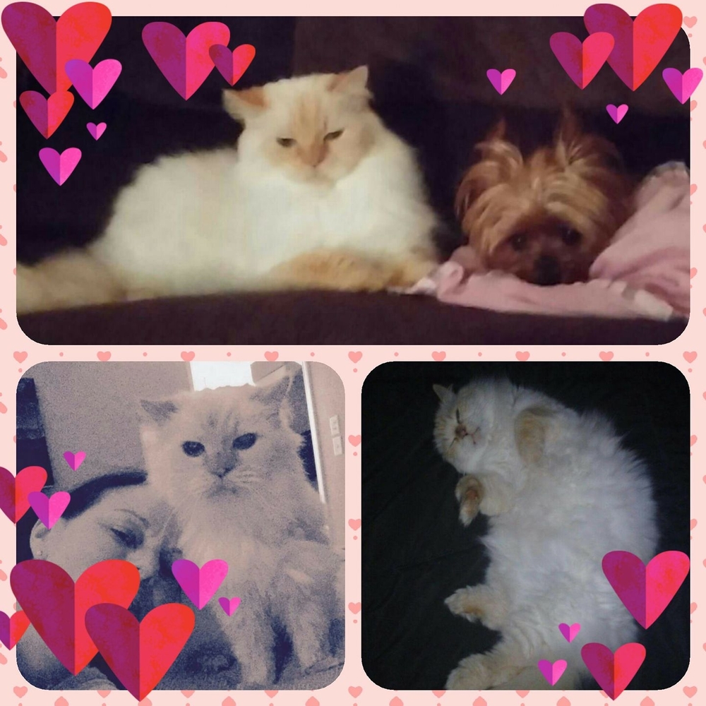 Meet your Posher, Jennifer