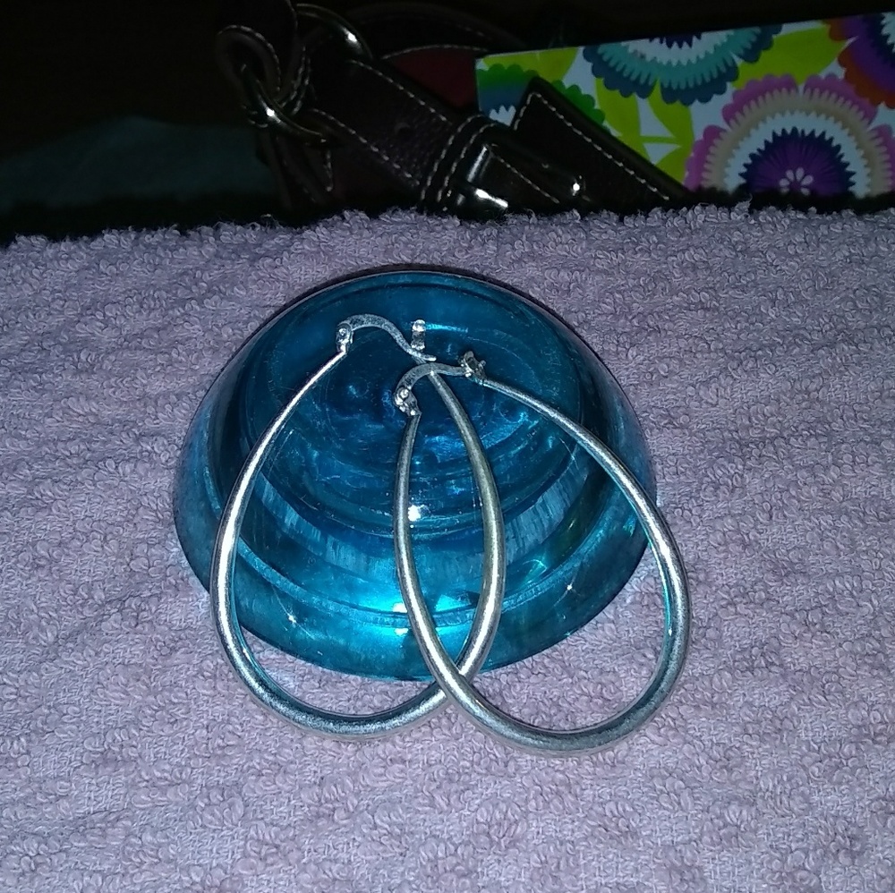 Oval hoop earrings