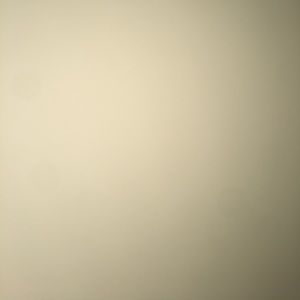 Meet your Posher, Nala