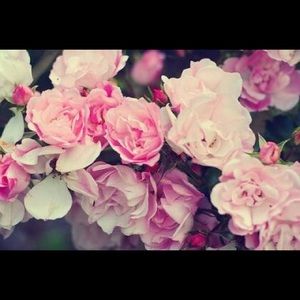 Meet your Posher, Gu k ye on