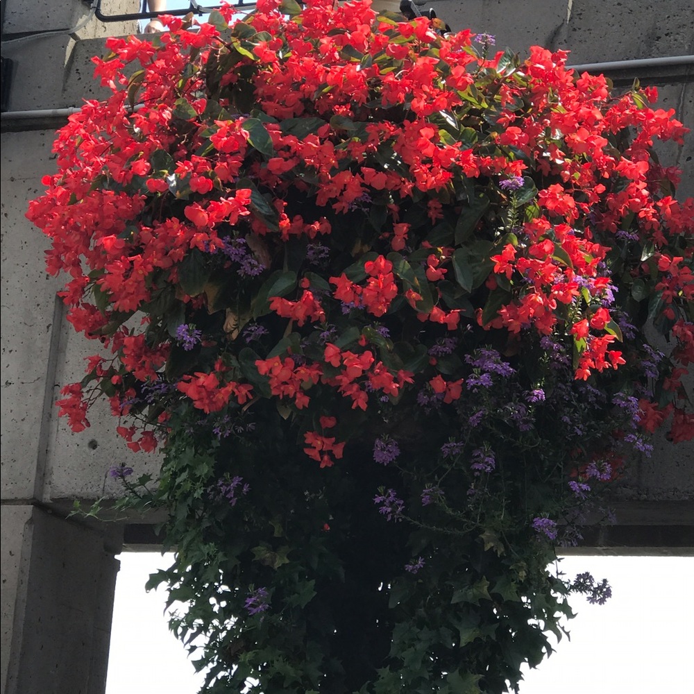 Meet your Posher, Shelly