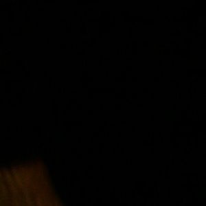 Meet your Posher, Seabass