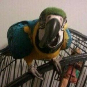 Meet your Posher, Jackie