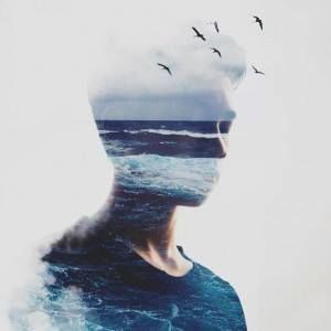 Meet your Posher, Henry