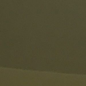 Meet your Posher, Jamel