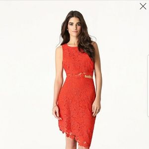 Bebe 2 piece lace dress