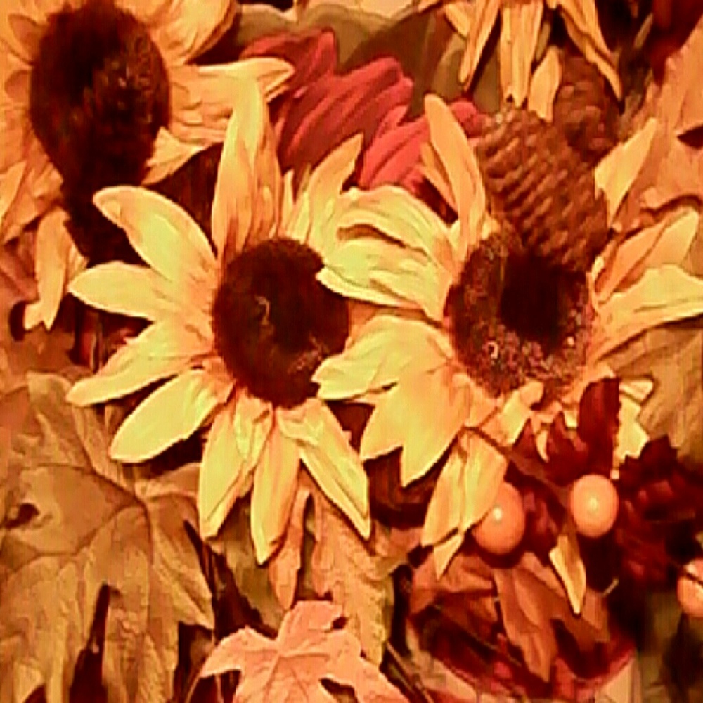 Meet your Posher, C Dianne