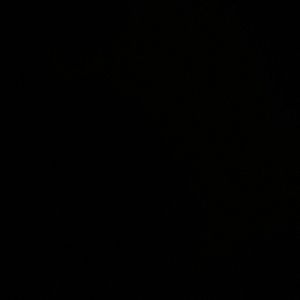 Meet your Posher, Evette