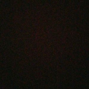 Meet your Posher, Shane