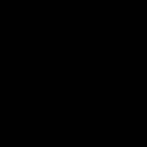 Meet your Posher, Fun