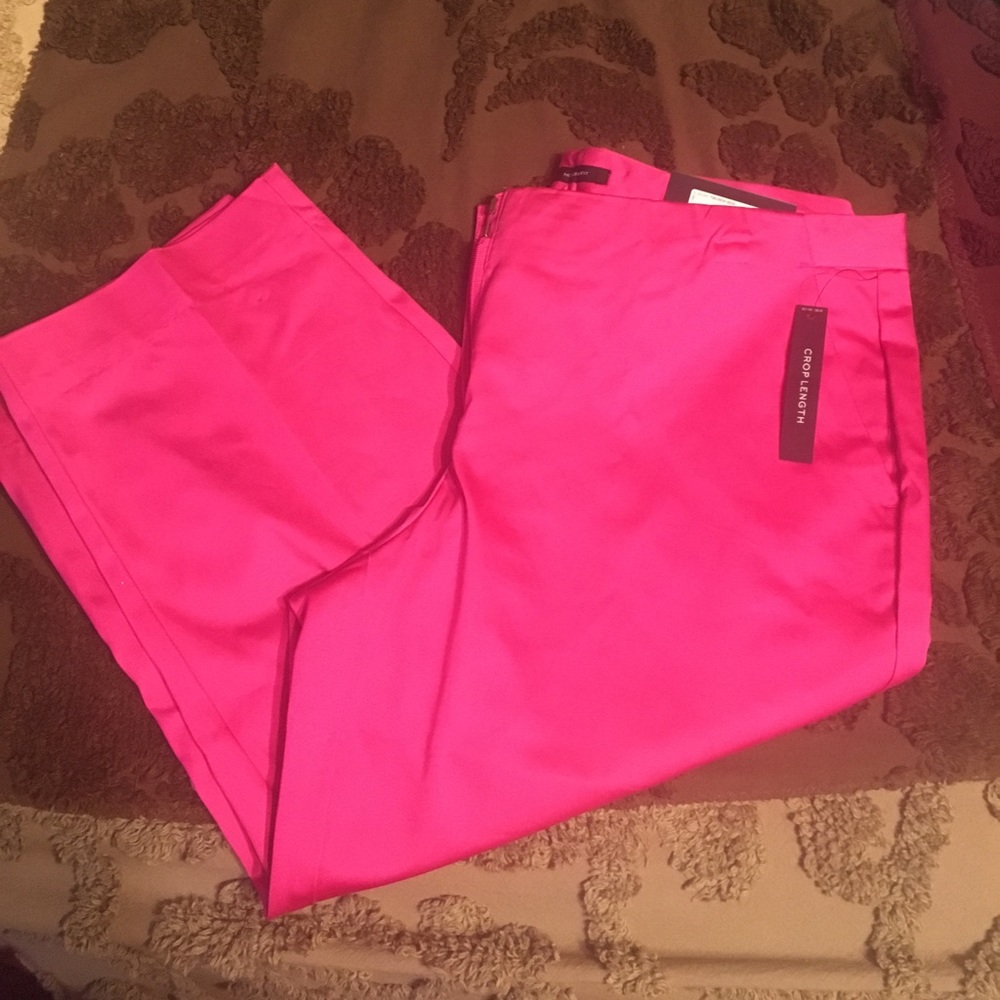 6 petite pink dressy capris