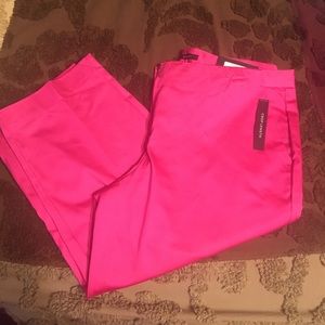 6 petite pink dressy capris