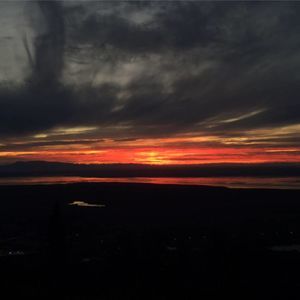 Meet your Posher, Dakota