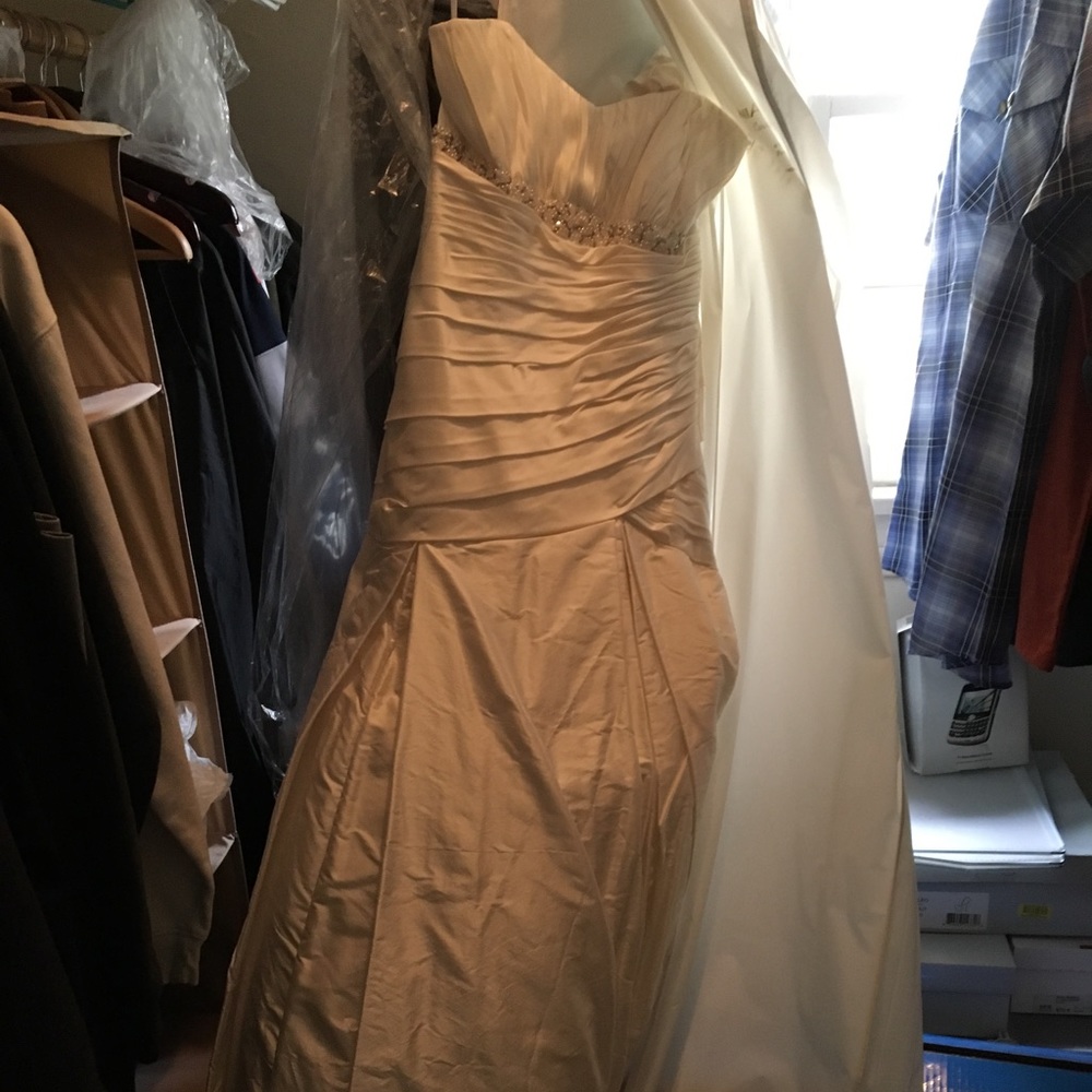 Lee Ann Belter Wedding Dress custom ivory
