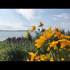 Meet your Posher, Leta