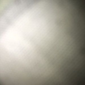 Meet your Posher, Shamar