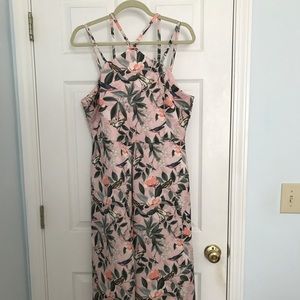 NWT Asos Bird Print Midi Scuba Dress - US Sz 12