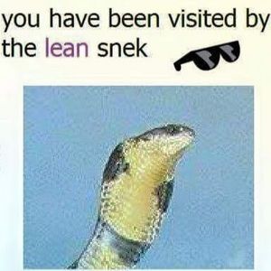 Meet your Posher, Sophie