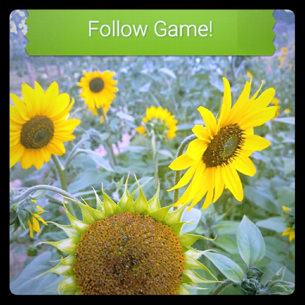 Like, share and follow!