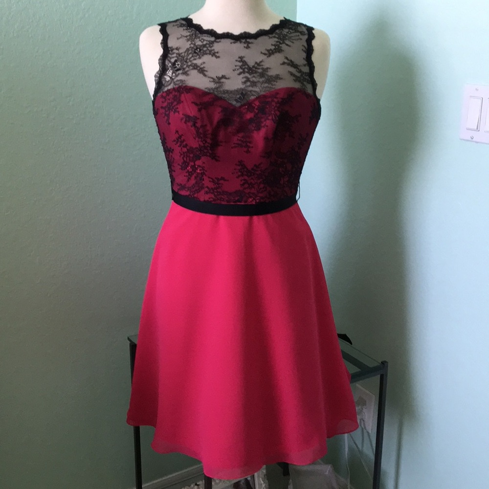 Sorella Vita Gorgeous lace detail dress, brand new
