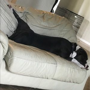 Meet your Posher, D'yanis