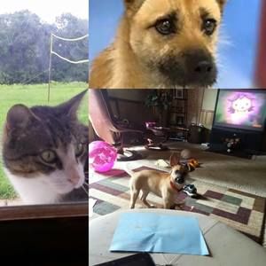 Meet your Posher, Kelsie