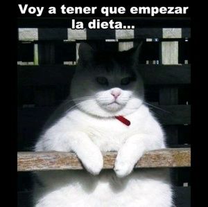 Meet your Posher, Yadira