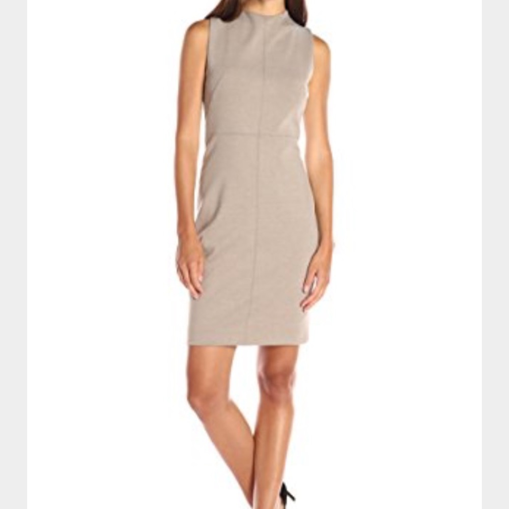 Light Taupe Paloma Tahari dress