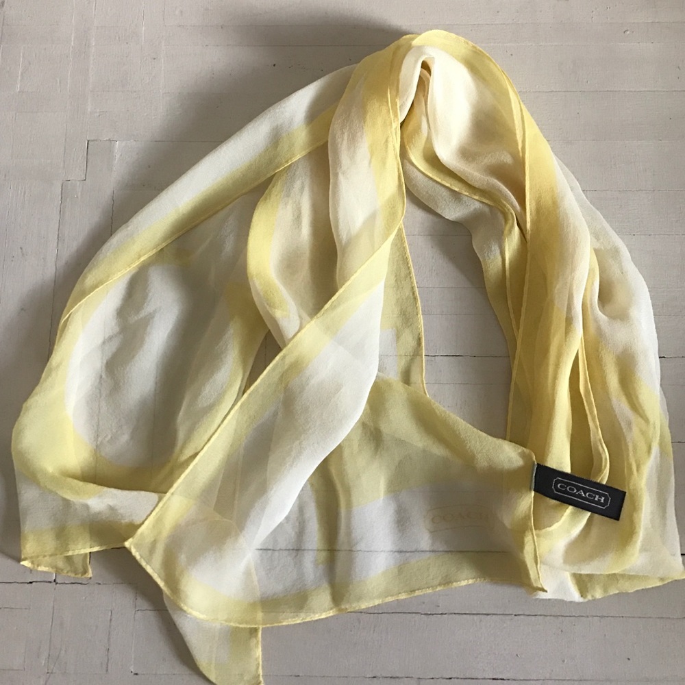 Silk Coach Scarf