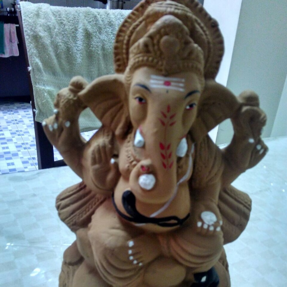 Meet your Posher, Rekha