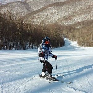 Meet your Posher, Andy