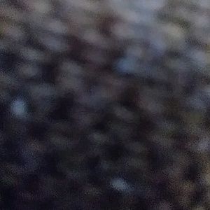 Meet your Posher, Navjot