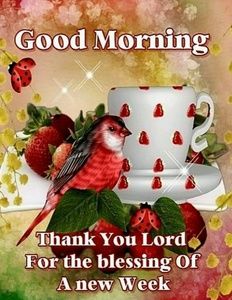 Meet your Posher, Bettyann