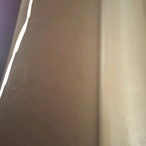 Meet your Posher, Daisy