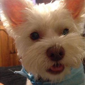 Meet your Posher, Meagan