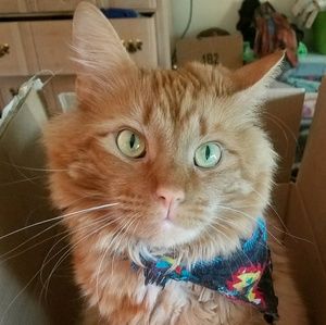 Meet your Posher, Taylor