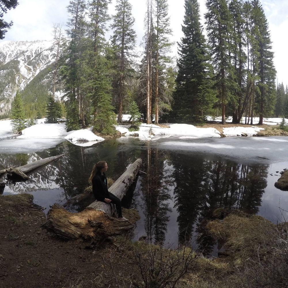 Meet your Posher, Victoria